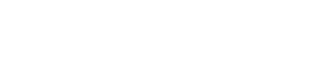 VibrantLifeLogo WHT